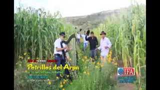 TRES DE MAYO Los Potrillos del Arpa 2014 Full HD Video OFICIAL [upl. by Caldera]