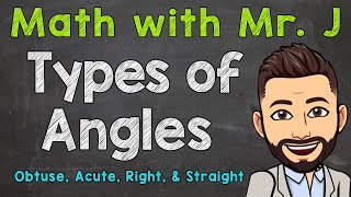 Types of Angles  Obtuse Acute Right amp Straight Angles [upl. by Darcie]