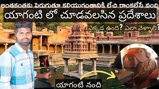 Yaganti temple trip  places to visit in Yaganti  Yaganti Nandi mystery  Uma Maheshwara temple [upl. by Attenaj]