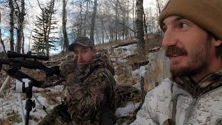 Alberta whitetail Deer huntingDROPPED IN HIS TRACKS [upl. by Aienahs]