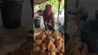 Edible Dried Coconut  Fruit Cutting Skills [upl. by Ginny]