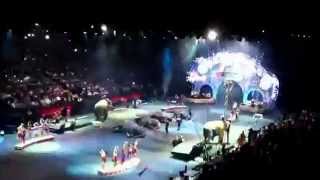 Ringling Brothers Built to Amaze Elephants act in Monterrey [upl. by Puff]