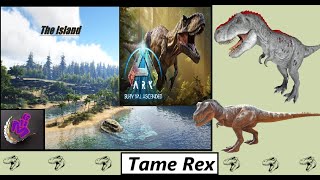 ARK Survival Ascended TAME REX  MAP THE ISLAND  MHG 4K  39 [upl. by Eahsan]