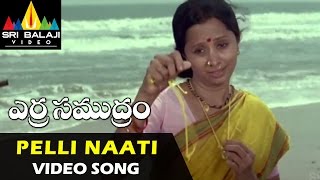 Erra Samudram Video Songs  Pelli Naati Video Song  Narayana Murthy  Sri Balaji Video [upl. by Weinshienk]