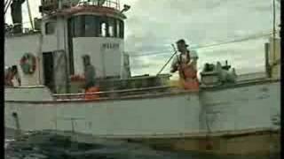 Fishing cod at Soroya norway [upl. by Wemolohtrab]