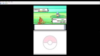 TUTO COMMENT CAPTURER UN CARAPUCE SHINY DANS POKEMON DIAMANT [upl. by Lrigybab916]