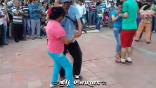 Mix Merengue Campesino 2020 Bailamos Señorita Dj Genyer [upl. by Jecho]