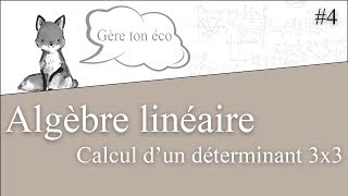 Algèbre linéaire  Méthode de triangularisation dune matrice  Calcul du déterminant 4 [upl. by Lavina]