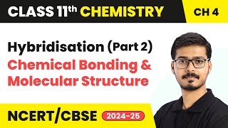 Hybridisation Part 2  Chemical Bonding and Molecular Structure  Class 11 Chemistry Ch 4  CBSE [upl. by Nylyrehc495]