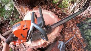 How to quickly file your saws rakers [upl. by Erlond]