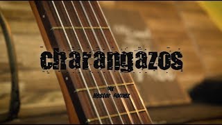 CHARANGAZOS 🎶 Polkeros del Yi [upl. by Vernice]