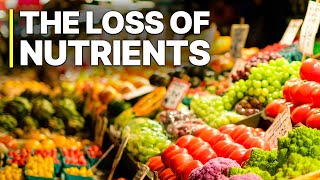 Industry Scandal The Loss Of Nutrients  Full Documentaries [upl. by Ahsimit814]