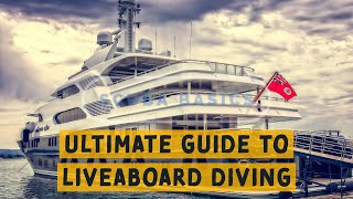 Scuba Diving Basics A Divers Ultimate Guide To Liveaboard Diving [upl. by Maudie]