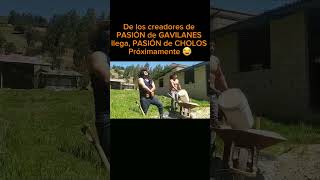 De los creadores de PASIÓN DE GAVILANES llega Pasión de Cholos comedia humor [upl. by Annair722]