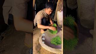 Make hair growth lotion shorts shortvideo rurallife [upl. by Epolenep]