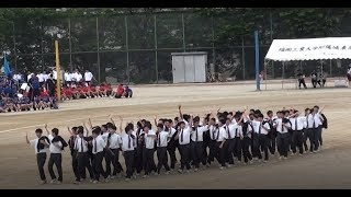 福岡工業大学附属城東高等学校 体育祭 2019 男子集団行動 [upl. by Hoxsie]