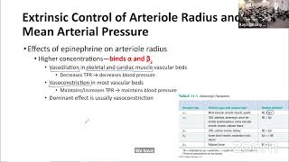 AampP Lecture  Extrinsic Control of Arterioles  Begin Capillaries [upl. by Liagiba]