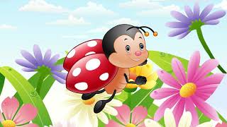 Coccinelle Demoiselle Comptine pour enfant [upl. by Airdnoed]