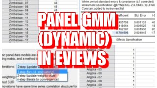 Panel Generalized Method of Moment GMM in Eviews Dynamic [upl. by Nodnarb]