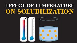 Effect of Temperature on Solubilization  Chemistry Insights  ChemClarity [upl. by Nefen81]