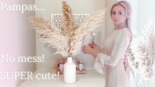 HOW TO Pampas Grass Prep amp Decorating [upl. by Morten100]