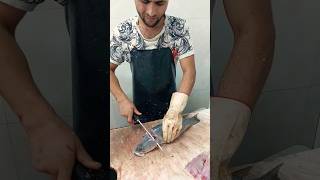 Sea Bass FISH CUTTING [upl. by Cerelia]