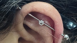 Como aplicar um piercing transversal [upl. by Pris586]