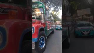 San Pedro Santa Clara 🔴🔵🟢 Dina Capre bus autobuses dina camion urbano viaje shorts [upl. by Aurlie465]