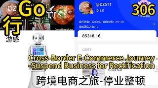 CrossBorder ECommerce JourneySuspend Business for Rectification（跨境电商之旅停业整顿）306DZ5TT动长5游感） [upl. by Ethbin511]