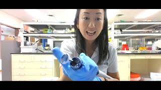 How to use micropipette and Exercise to pipette and weigh out 0 36ml water [upl. by Eenitsed]