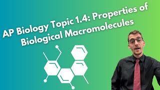 14 Properties of Biological Macromolecules  AP Biology [upl. by Ecitnerp249]