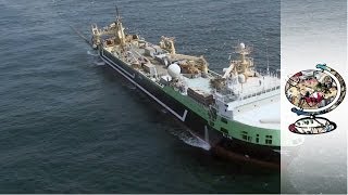 How Australia Impounded the Worlds SecondLargest Fishing Trawler [upl. by Hcirdeirf]