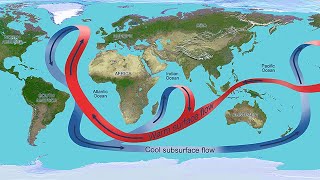 ¿Qué son las CORRIENTES OCEÁNICAS ¿Cúales son sus TIPOS [upl. by Cammie]