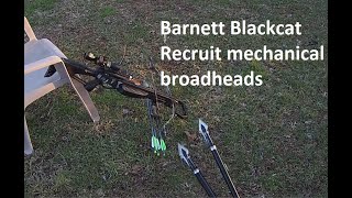 Barnett Blackcat Recruit Crossbow shooting Mechanical Broadhead [upl. by Eisler]