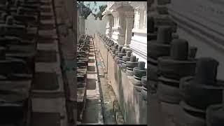 Shri Mahakal Lingam koti lingala Temple Andhra Pradesh🙏 [upl. by Selim]