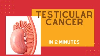 Testicular cancer in under 2 mins [upl. by Meekah562]