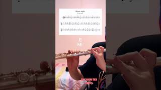 Silent Night  Flute Tutorial Sheet music [upl. by Utica]