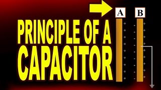 what is the Working principle of a capacitor  Physics4Students [upl. by Tolland]