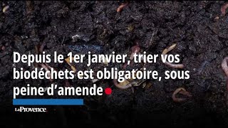 Depuis le 1er janvier trier vos biodéchets est obligatoire sous peine d’amende [upl. by Bittner874]