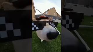 Dog activity 🤓ytshorts funny cute trending [upl. by Ylrebme]