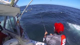 Marlin Fishing Port Macquarie Golden Lure 2015 [upl. by Nellahs]