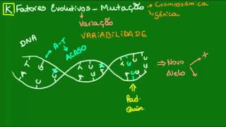 Mutação  Evolução  Biologia [upl. by Nyvek]