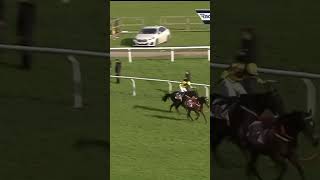 Galopin is Gold Cup King again horse horseracing racingtv sport britishhorseracing [upl. by Garland]