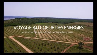 Comment une centrale biomasse transforme résidus végétaux et déchets en électricité  EDF [upl. by Adao]