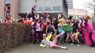 HARLEM SHAKE ORIGINAL  JSG [upl. by Nerro]