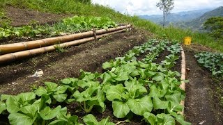 Características de la Agroecologia una Agricultura Más Sana  TvAgro por Juan Gonzalo Angel [upl. by Avivah]