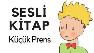 Küçük Prens Sesli Kitap Dinle Oku Tek Parça Masal Abbas Tekin [upl. by Atisor750]