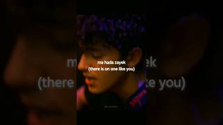 Hadal Ahbek  song  lyrics shorts fypシ゚ [upl. by Llehsyar]