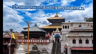 pashupatinath temple nepal l kathmandu  Pashupatinath Mandir Nepal [upl. by Franny]