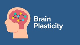 Brain Plasticity [upl. by Padraic749]